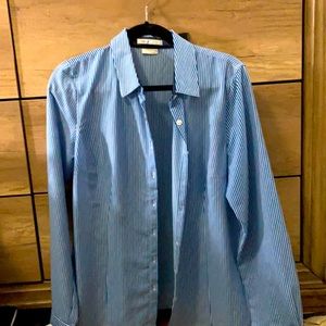 Women Van Heusen Button Down Large